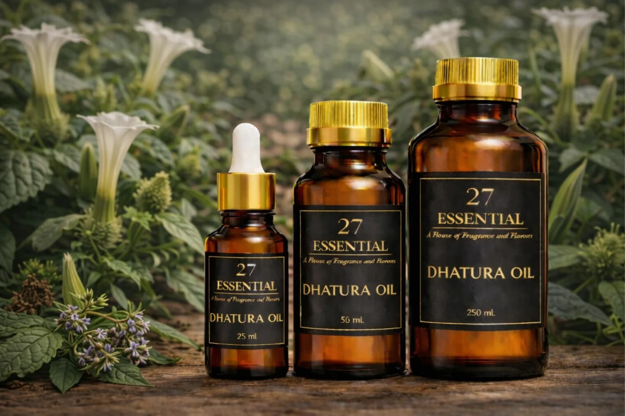 Dhatura Oil