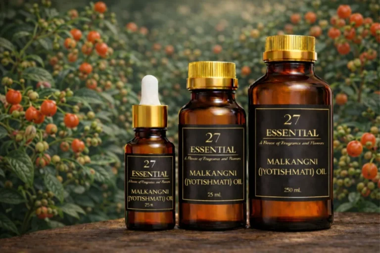 • Malkangni (Jyotishmati) Oil